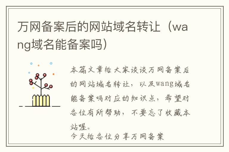 万网备案后的网站域名转让(wang域名能备案吗)
