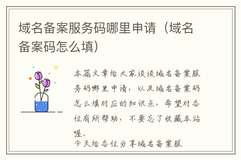 域名备案服务码哪里申请(域名备案码怎么填)