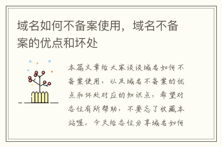 域名如何不备案使用,域名不备案的优点和坏处