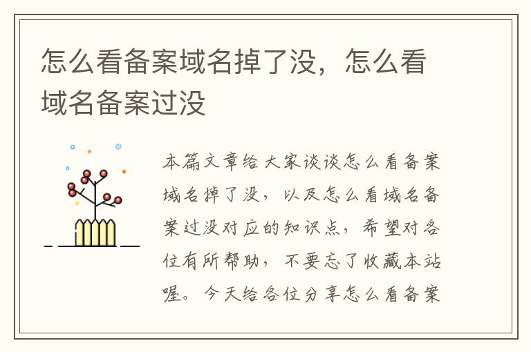 怎么看备案域名掉了没,怎么看域名备案过没
