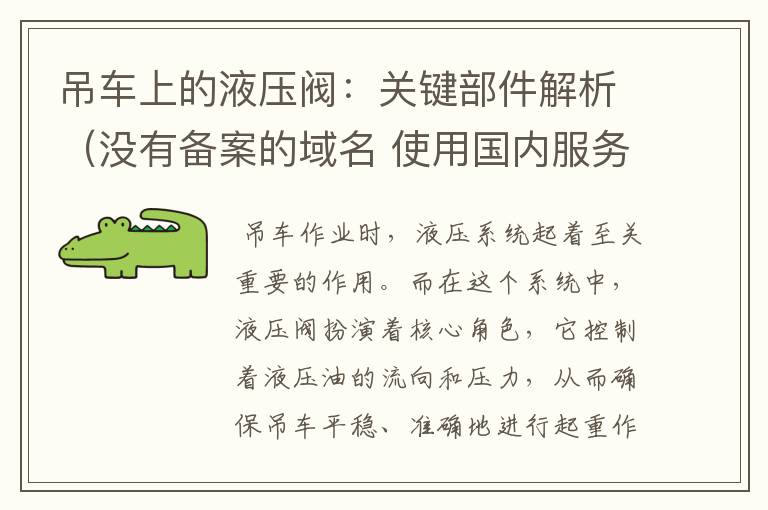 吊车上的液压阀:关键部件解析(没有备案的域名 使用国内服务器)