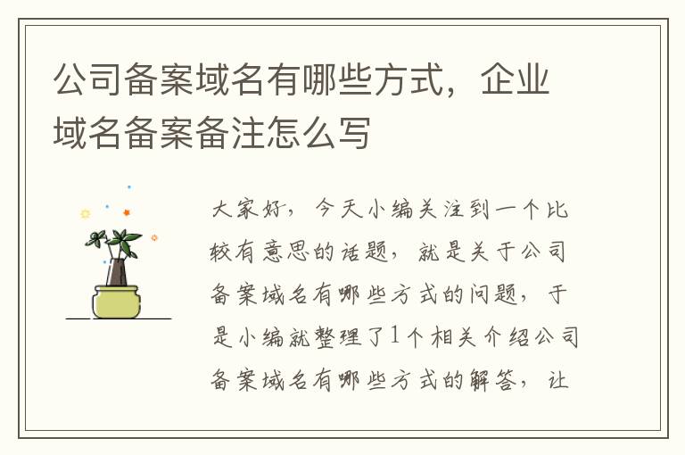 公司备案域名有哪些方式,企业域名备案备注怎么写