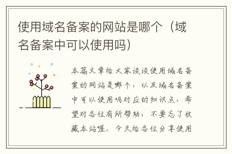 使用域名备案的网站是哪个(域名备案中可以使用吗)
