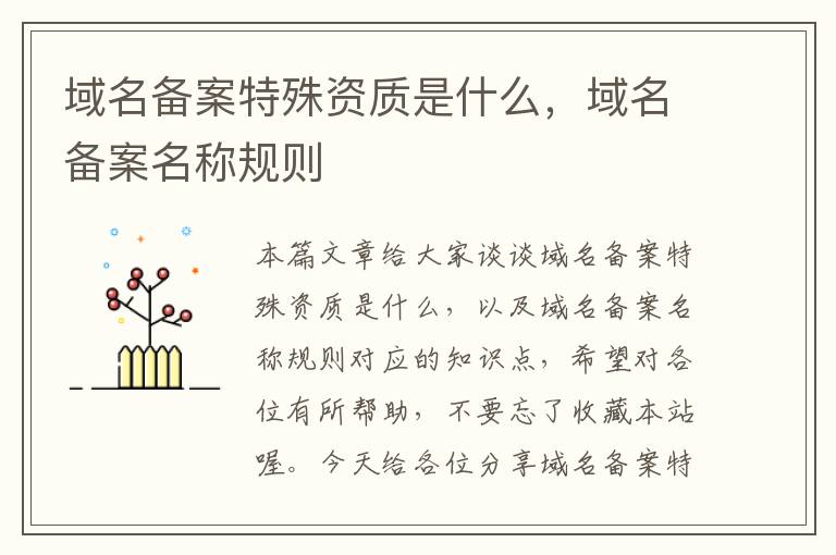 域名备案特殊资质是什么,域名备案名称规则