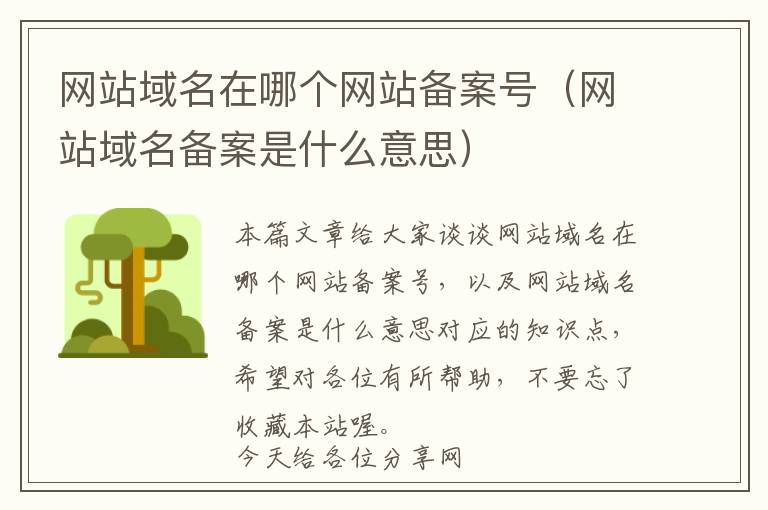网站域名在哪个网站备案号(网站域名备案是什么意思)