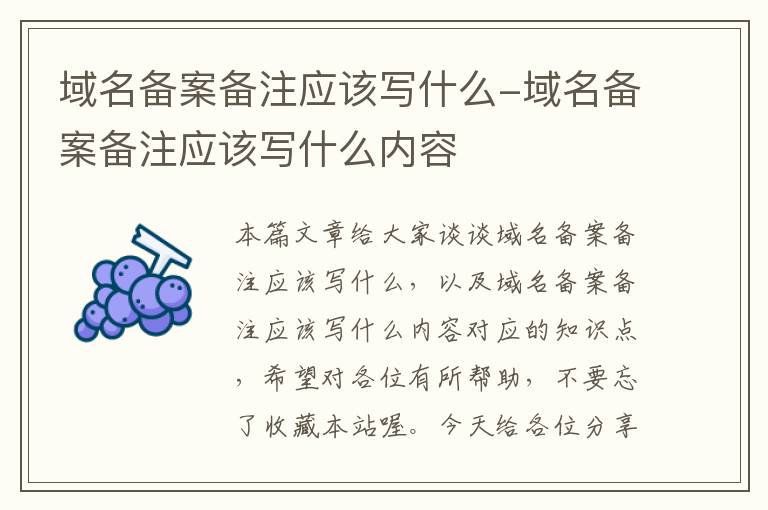 域名备案备注应该写什么-域名备案备注应该写什么内容