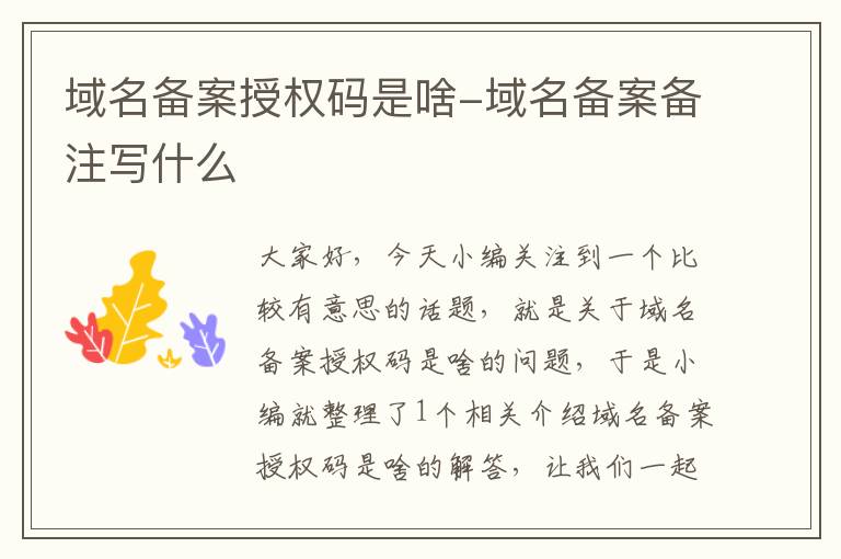 域名备案授权码是啥-域名备案备注写什么