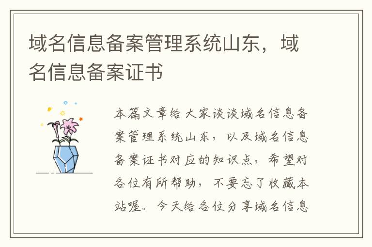 域名信息备案管理系统山东,域名信息备案证书