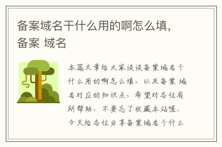 备案域名干什么用的啊怎么填,备案 域名