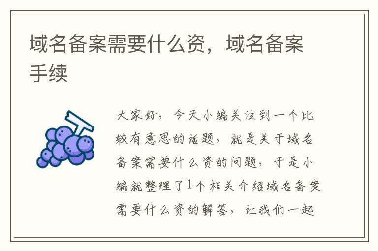 域名备案需要什么资,域名备案手续