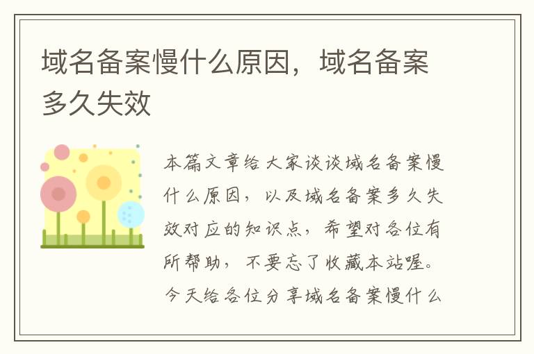 域名备案慢什么原因,域名备案多久失效