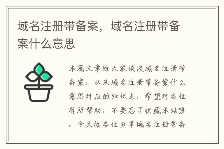 域名注册带备案,域名注册带备案什么意思