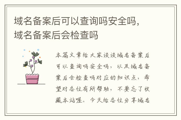 域名备案后可以查询吗安全吗,域名备案后会检查吗