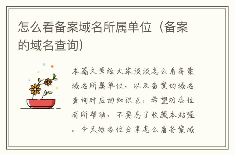 怎么看备案域名所属单位(备案的域名查询)
