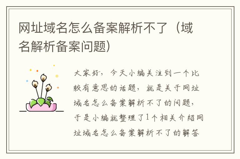 网址域名怎么备案解析不了(域名解析备案问题)
