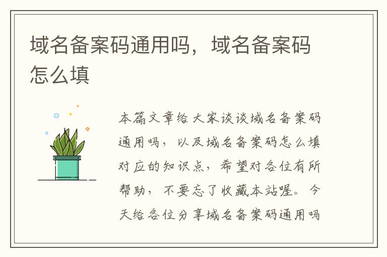 域名备案码通用吗,域名备案码怎么填