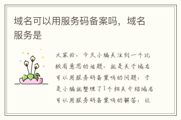 域名可以用服务码备案吗,域名服务是