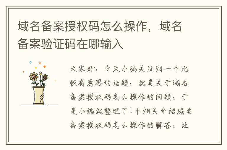 域名备案授权码怎么操作,域名备案验证码在哪输入