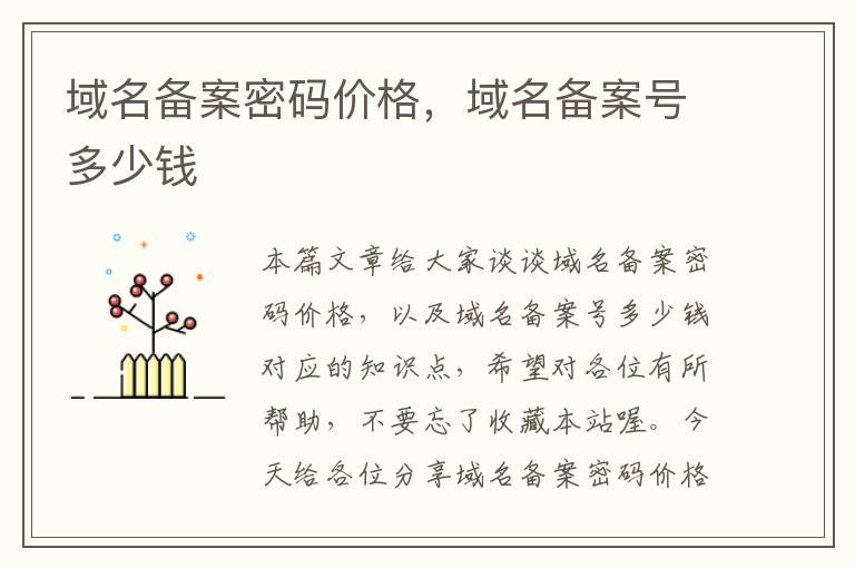 域名备案密码价格,域名备案号多少钱