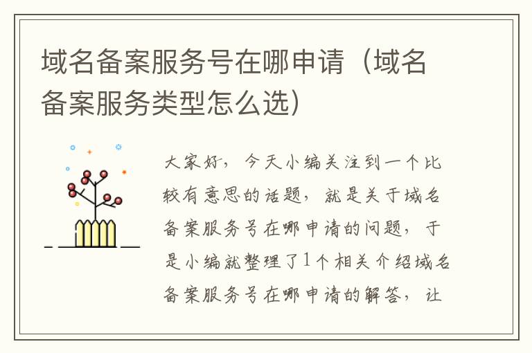 域名备案服务号在哪申请(域名备案服务类型怎么选)