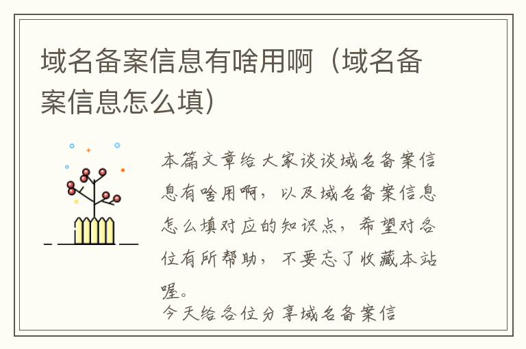 域名备案信息有啥用啊(域名备案信息怎么填)