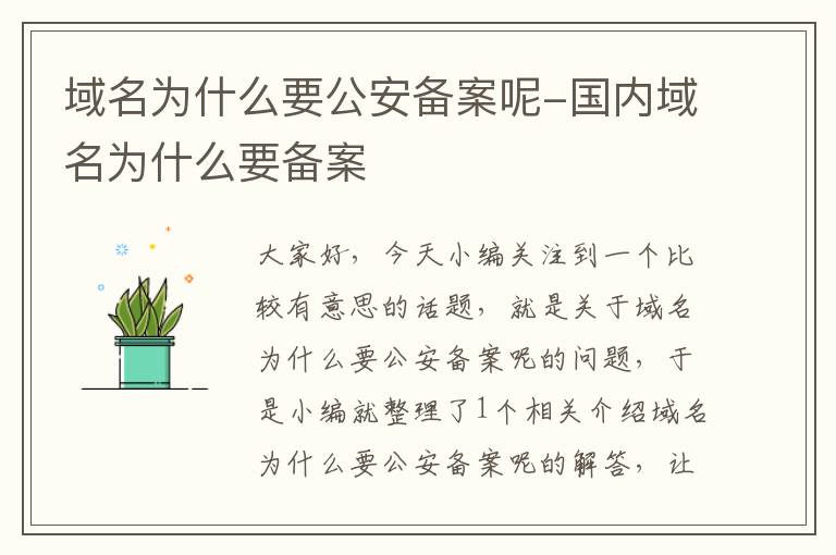 域名为什么要公安备案呢-国内域名为什么要备案