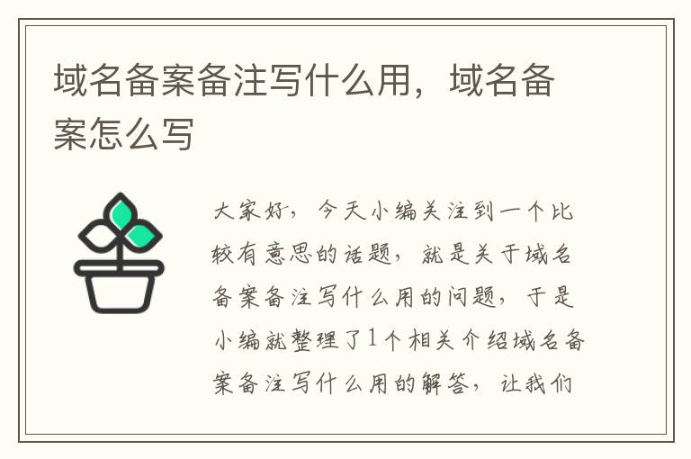 域名备案备注写什么用,域名备案怎么写