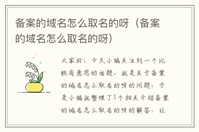 备案的域名怎么取名的呀(备案的域名怎么取名的呀)