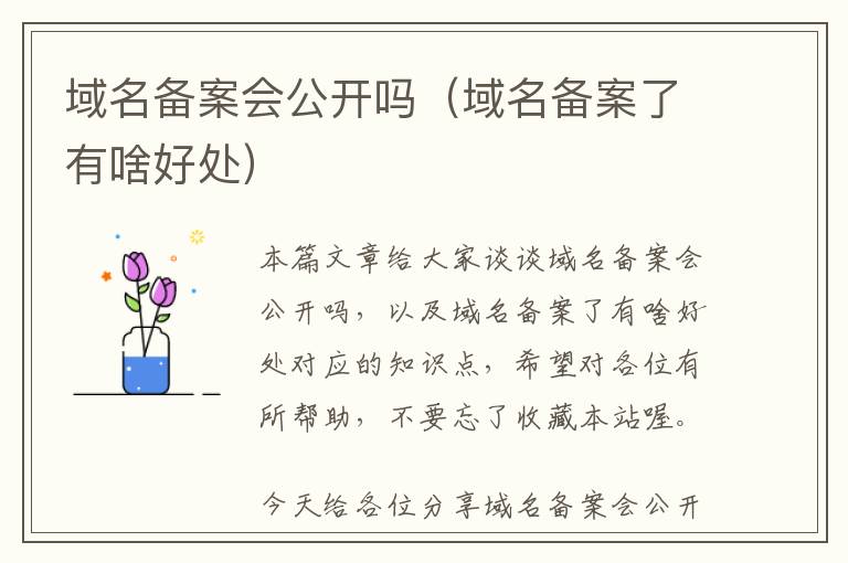 域名备案会公开吗(域名备案了有啥好处)