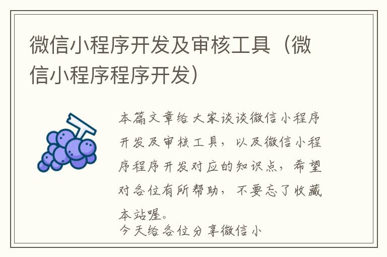 微信小程序开发及审核工具(微信小程序程序开发)