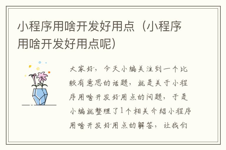 小程序用啥开发好用点(小程序用啥开发好用点呢)