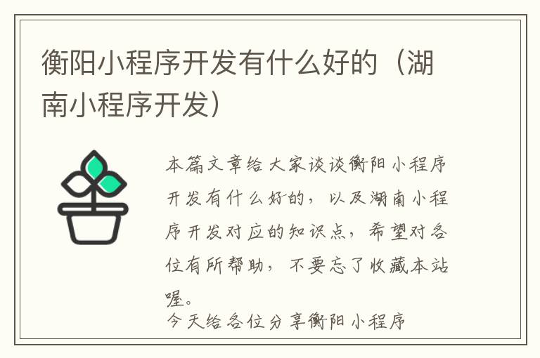 衡阳小程序开发有什么好的(湖南小程序开发)