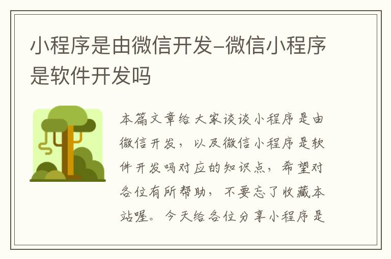 小程序是由微信开发-微信小程序是软件开发吗
