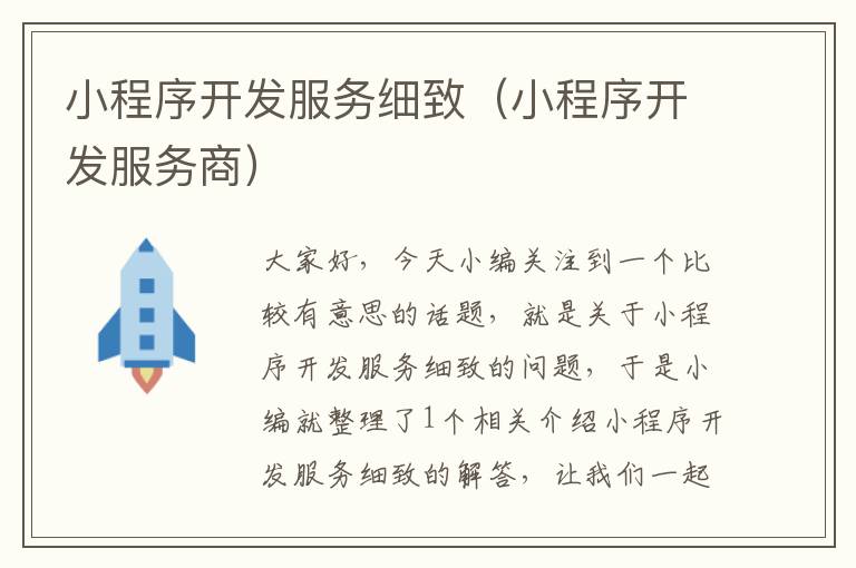 小程序开发服务细致(小程序开发服务商)