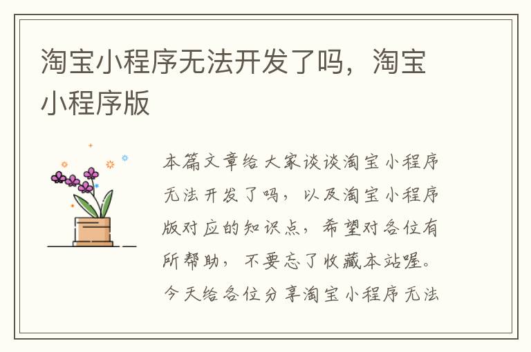 淘宝小程序无法开发了吗,淘宝小程序版