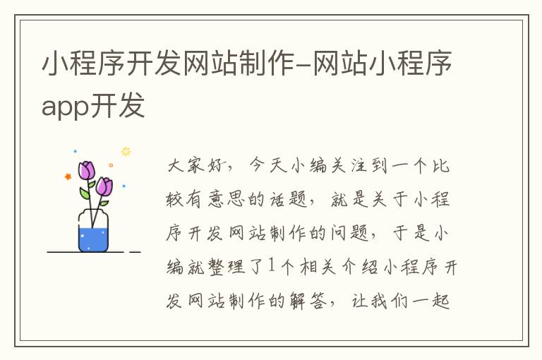 小程序开发网站制作-网站小程序app开发