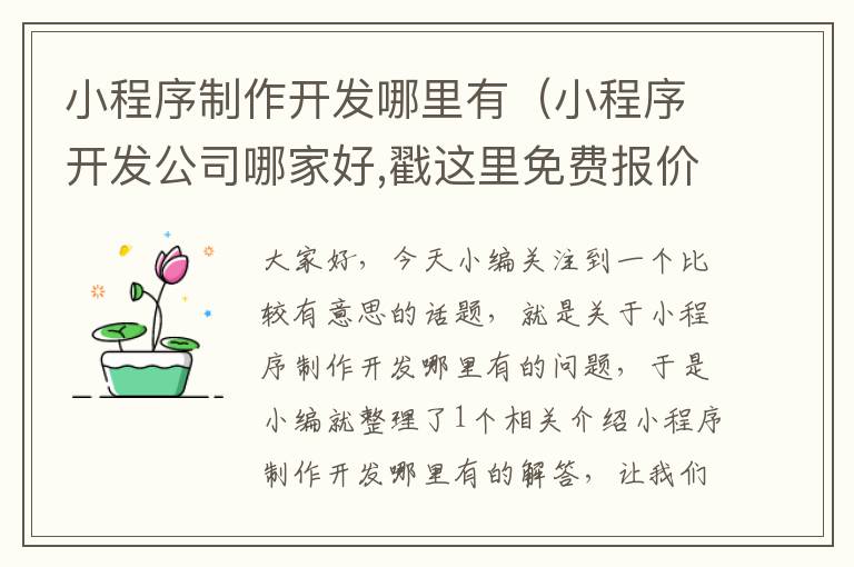 小程序制作开发哪里有(小程序开发公司哪家好,戳这里免费报价!)