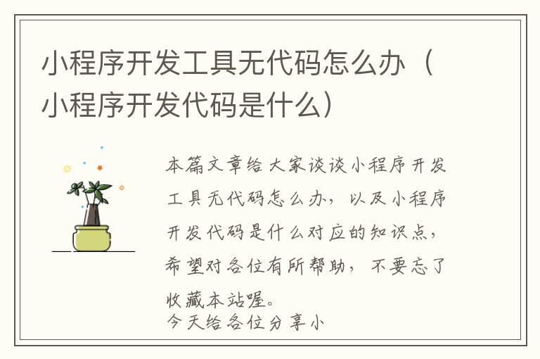 小程序开发工具无代码怎么办(小程序开发代码是什么)