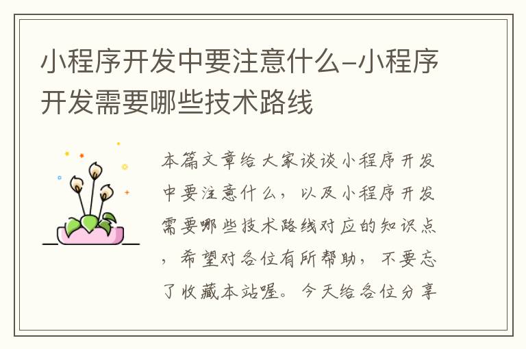 小程序开发中要注意什么-小程序开发需要哪些技术路线