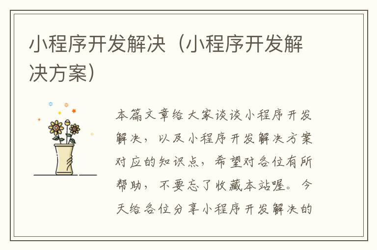 小程序开发解决(小程序开发解决方案)