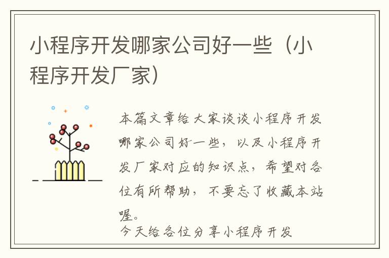 小程序开发哪家公司好一些(小程序开发厂家)