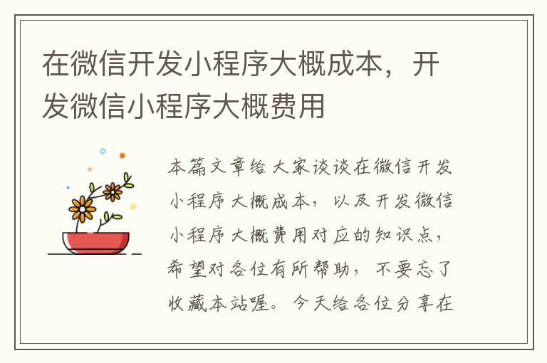 在微信开发小程序大概成本,开发微信小程序大概费用