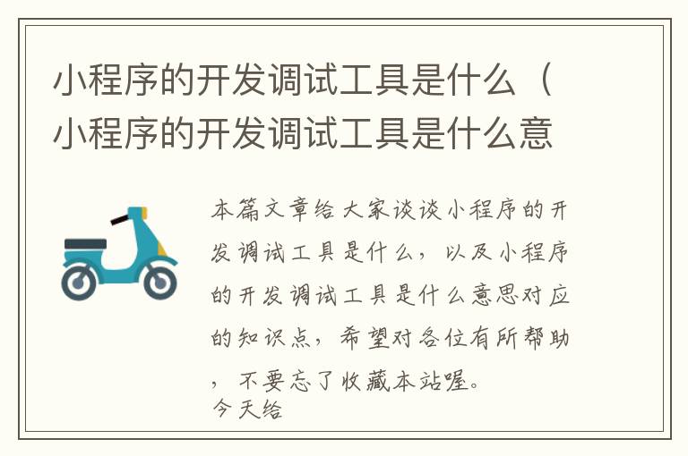 小程序的开发调试工具是什么（小程序的开发调试工具是什么意思）