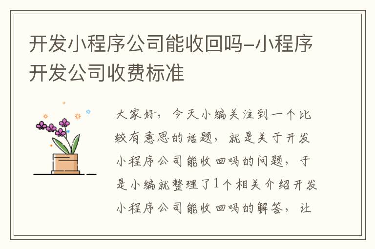 开发小程序公司能收回吗-小程序开发公司收费标准