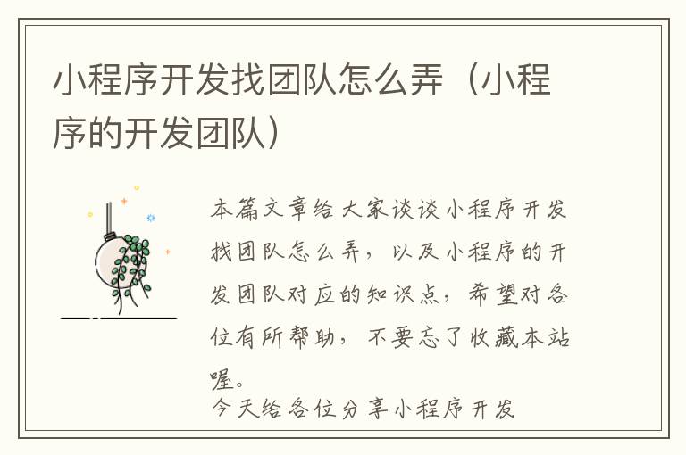 小程序开发找团队怎么弄(小程序的开发团队)