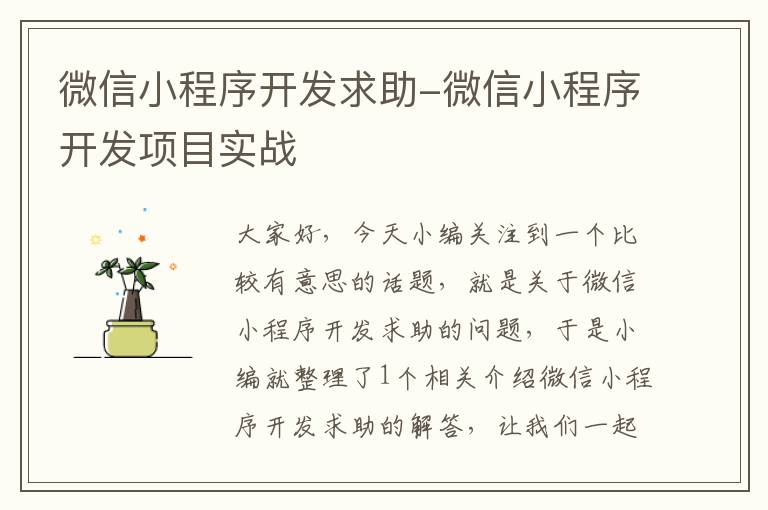 微信小程序开发求助-微信小程序开发项目实战