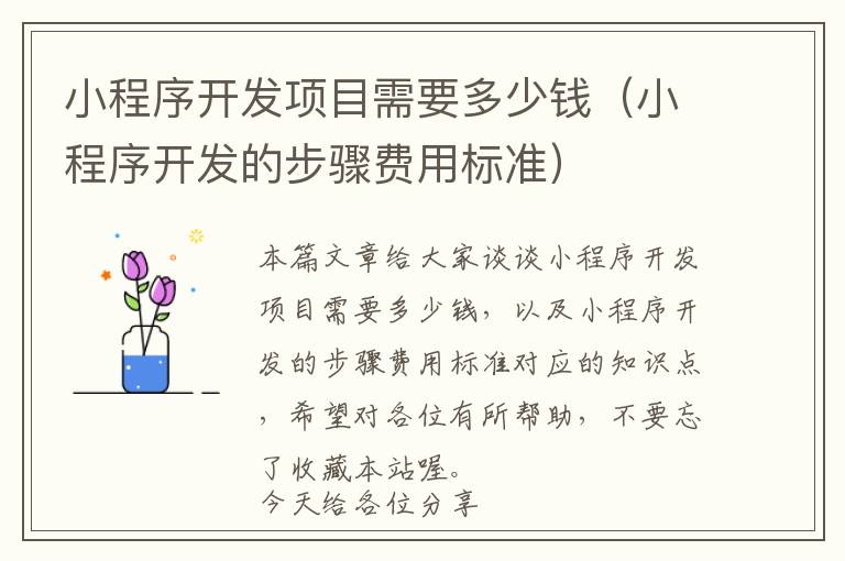 小程序开发项目需要多少钱(小程序开发的步骤费用标准)