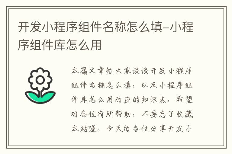 开发小程序组件名称怎么填-小程序组件库怎么用