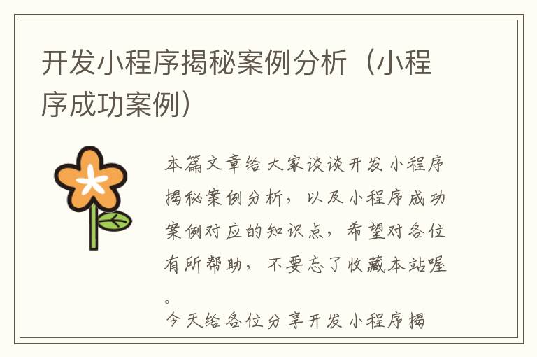 开发小程序揭秘案例分析(小程序成功案例)