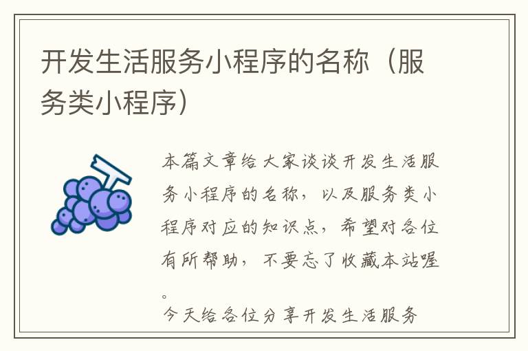 开发生活服务小程序的名称(服务类小程序)
